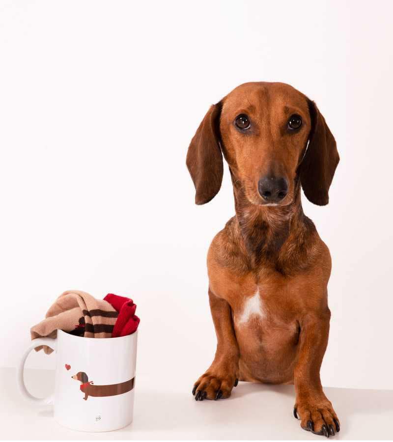 Kit Taza + Calcetines "Te quiero infinito"
