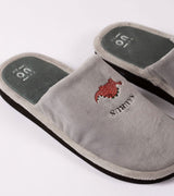 Zapatillas "Papisaurus"