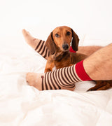 Calcetines "Te quiero infinito"
