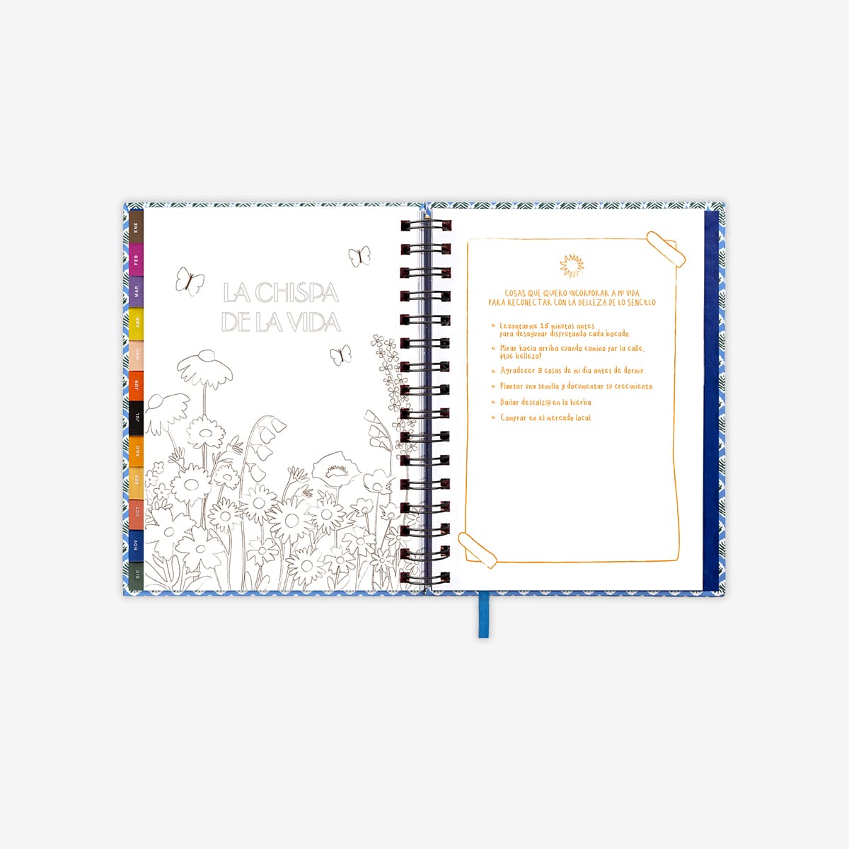 Agenda Anual "La chispa de la vida" Semana vista 2025