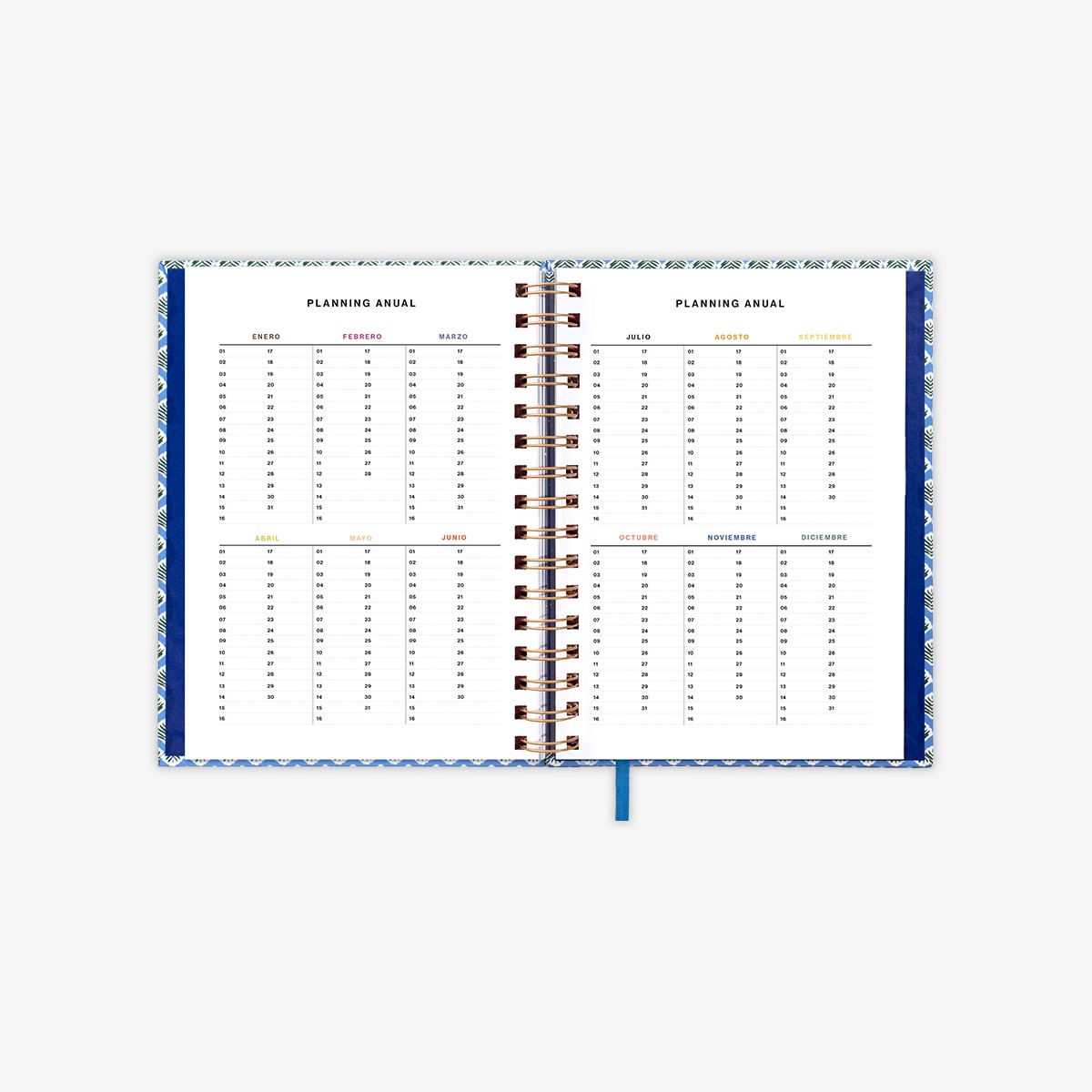 Pack Exclusivo Preventa Agenda Anual 2025 "La chispa de la vida" Día página