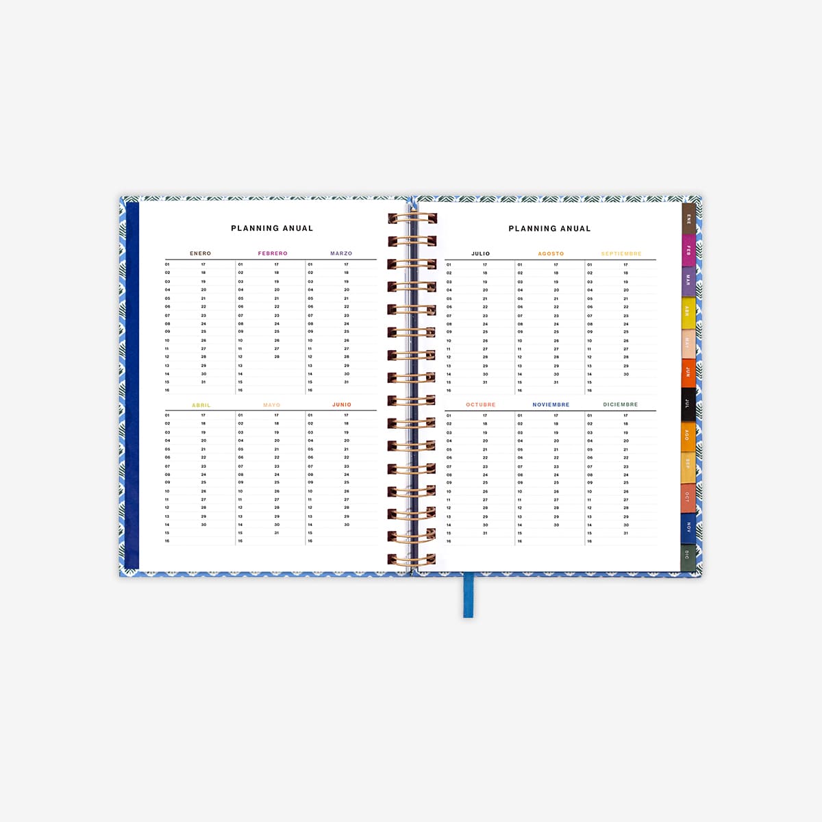 Pack Agenda Anual 2025 "La chispa de la vida" Semana vista