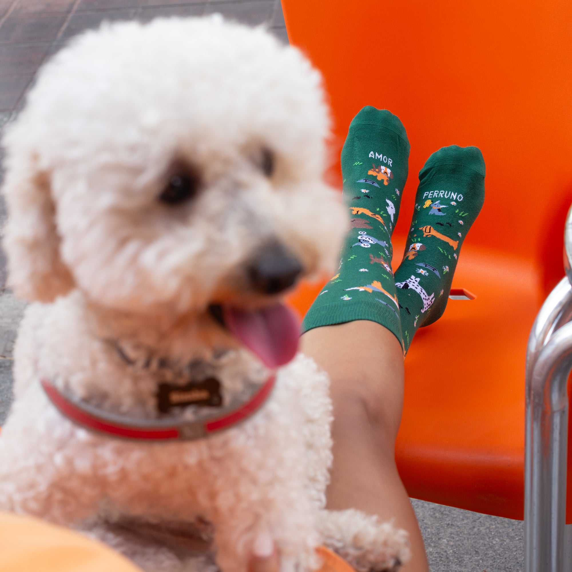 Calcetines "Amor Perruno" Doglover