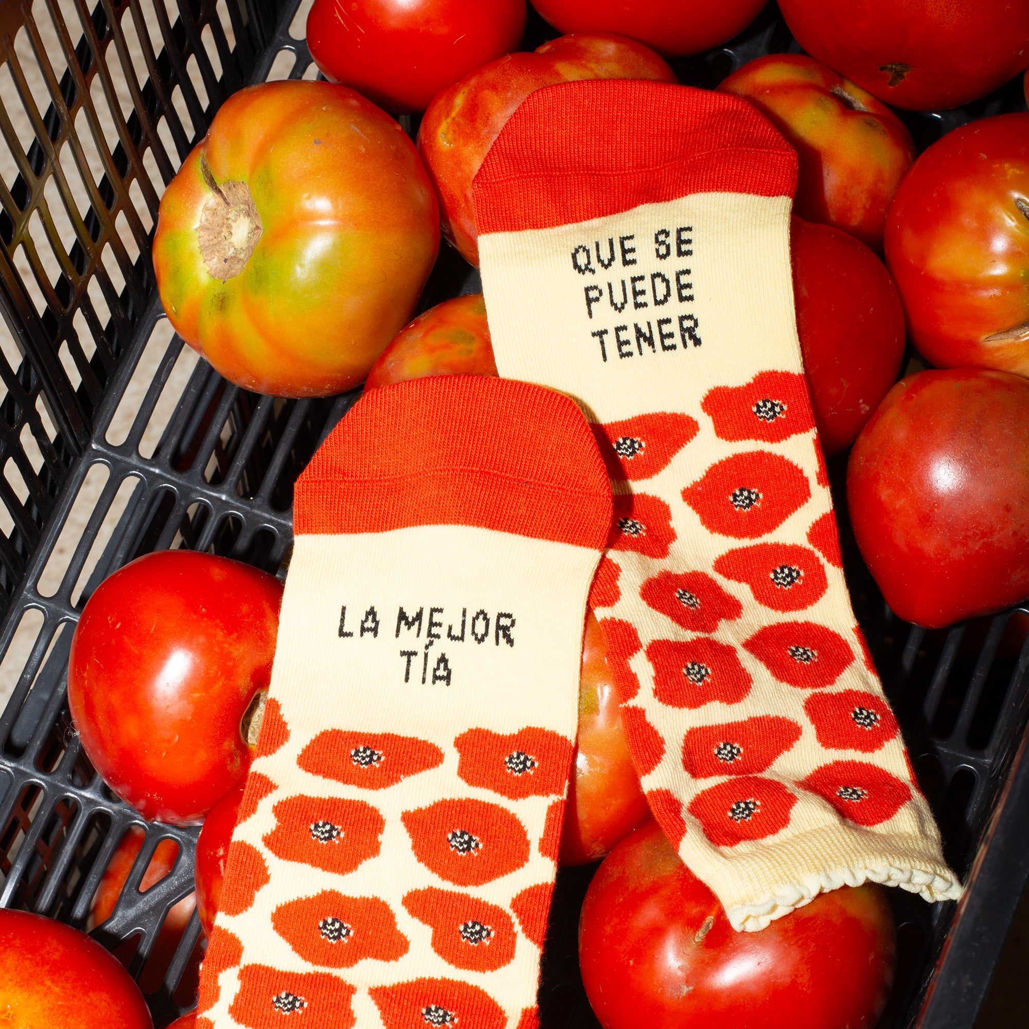 Kit ramo "La mejor tía que se puede tener" flores Fam