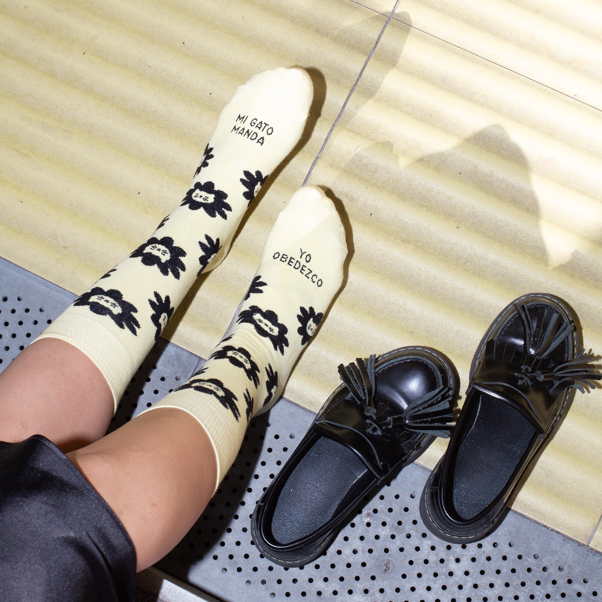 Calcetines "Mi gato manda, yo obedezco"