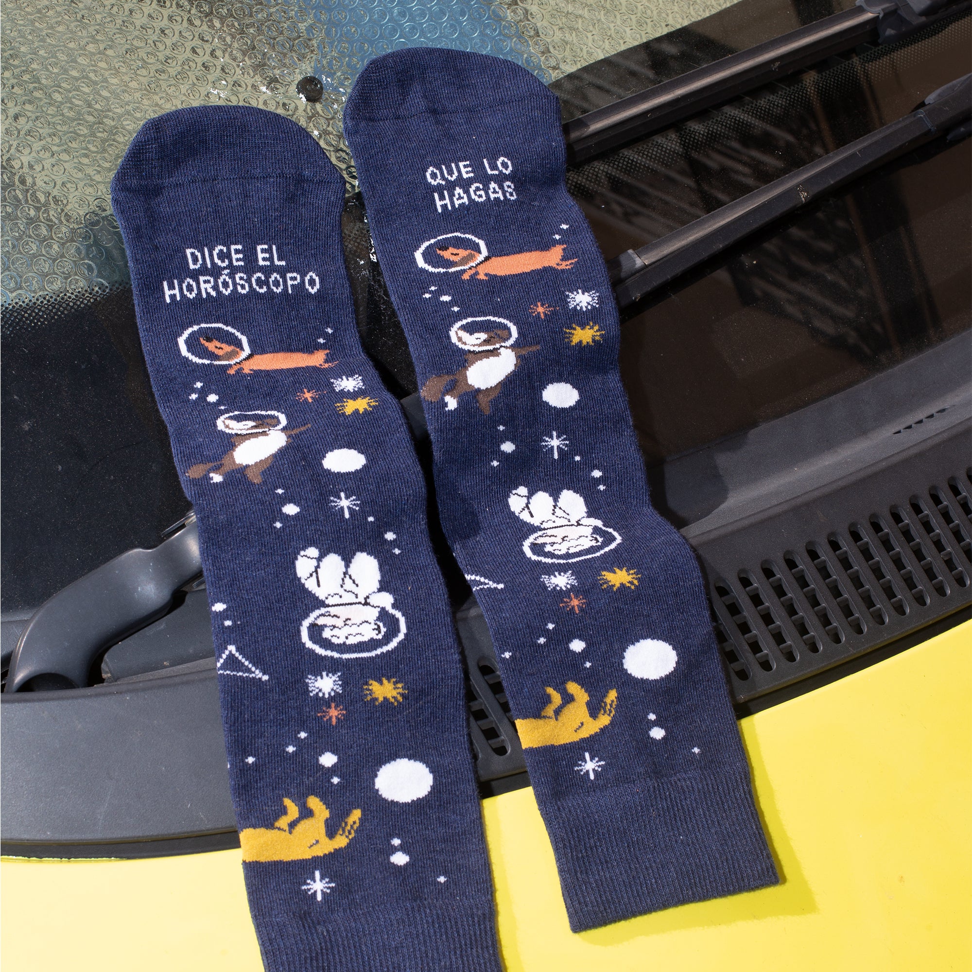 Calcetines "Dice el horóscopo que lo hagas"