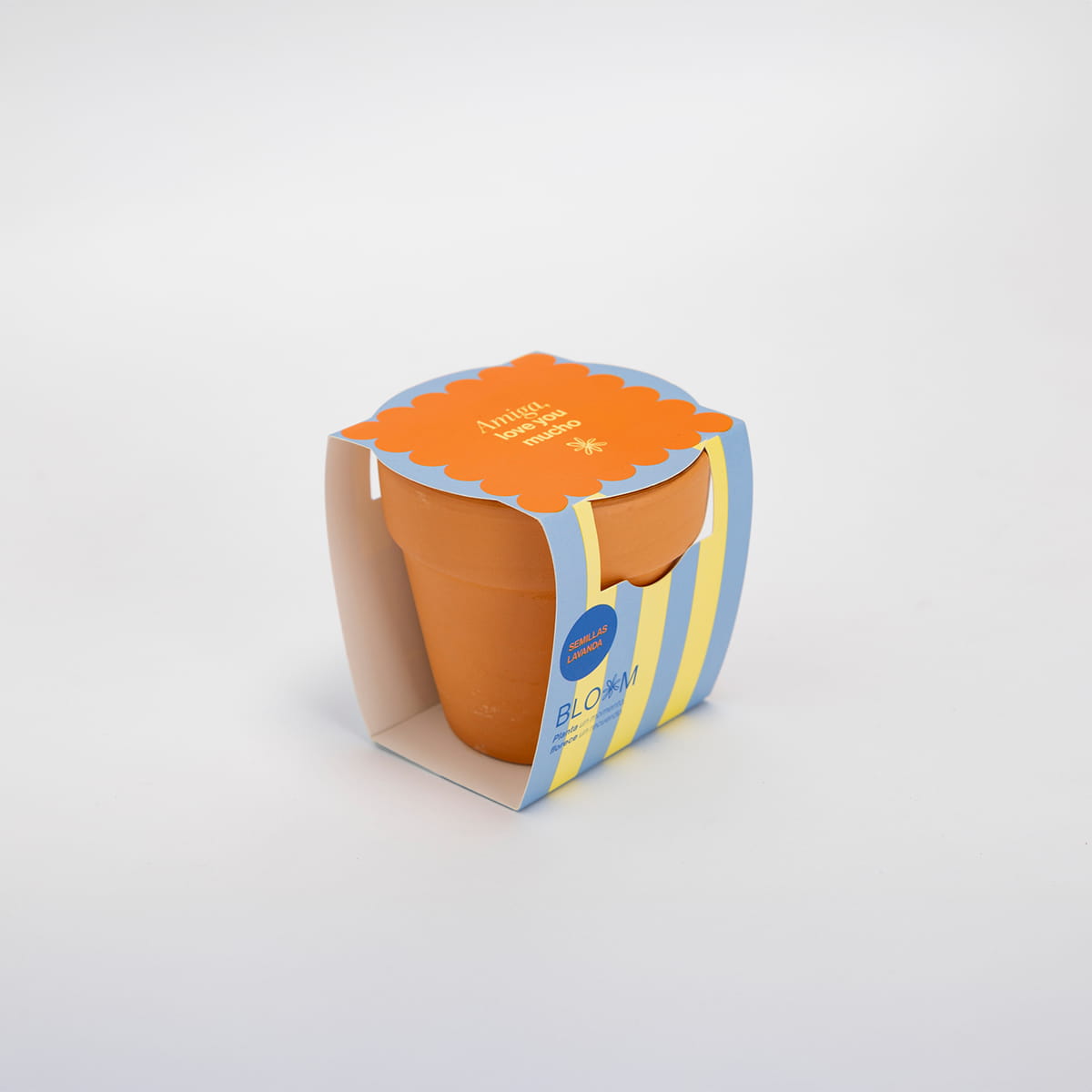 Kit Maceta "Amiga, love you mucho"