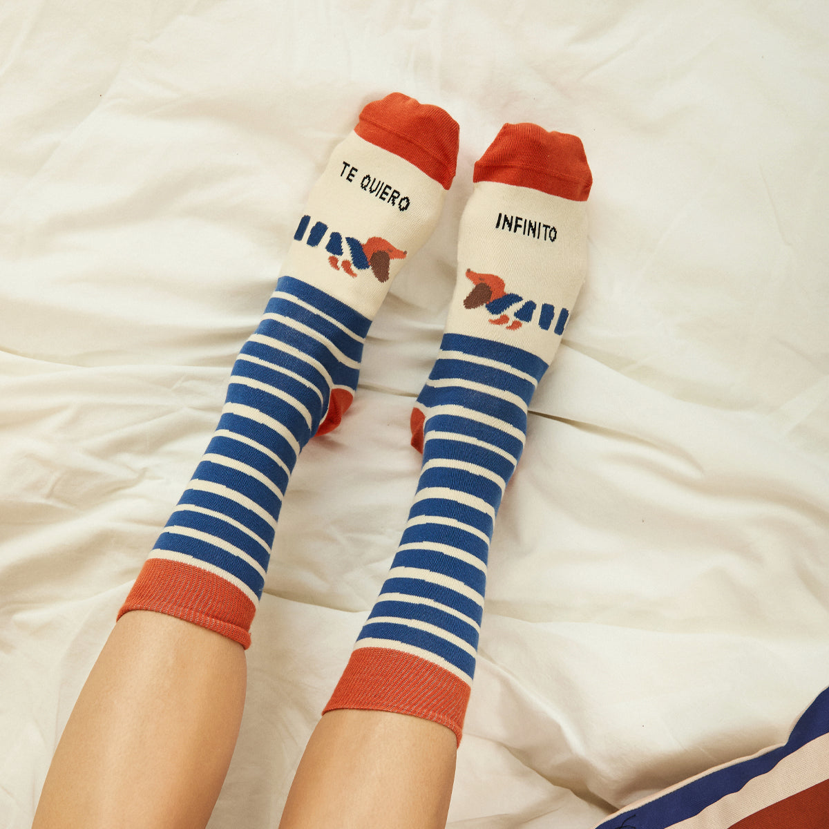 Calcetines "Te quiero infinito" Teckel