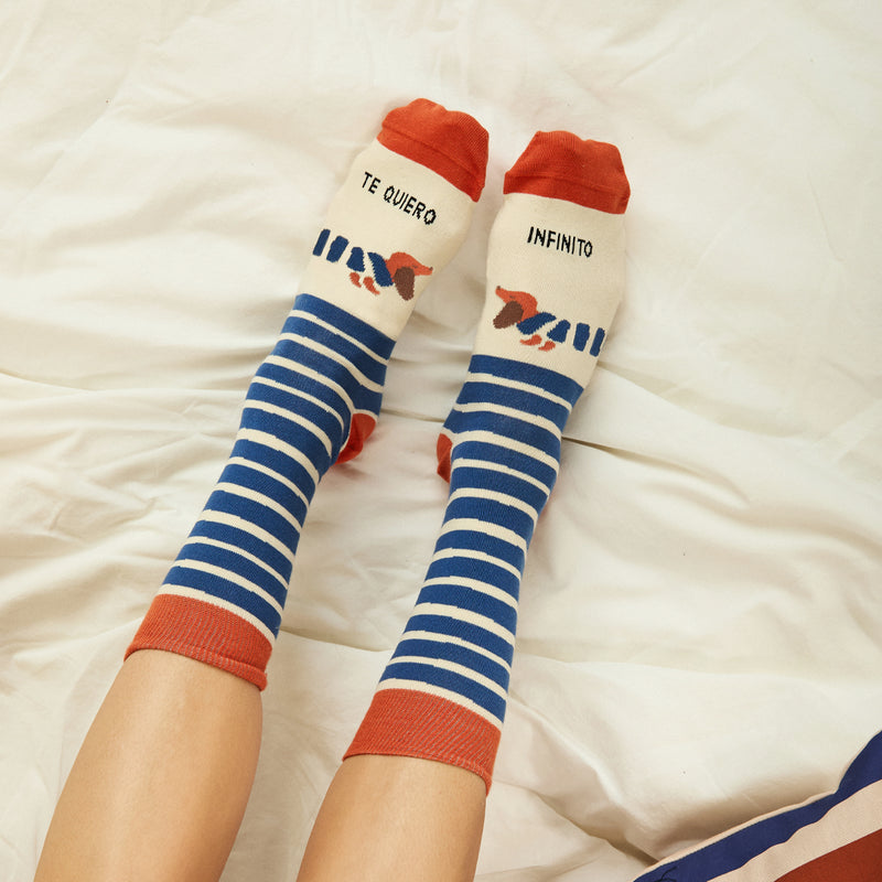 Calcetines "Te quiero infinito" Teckel
