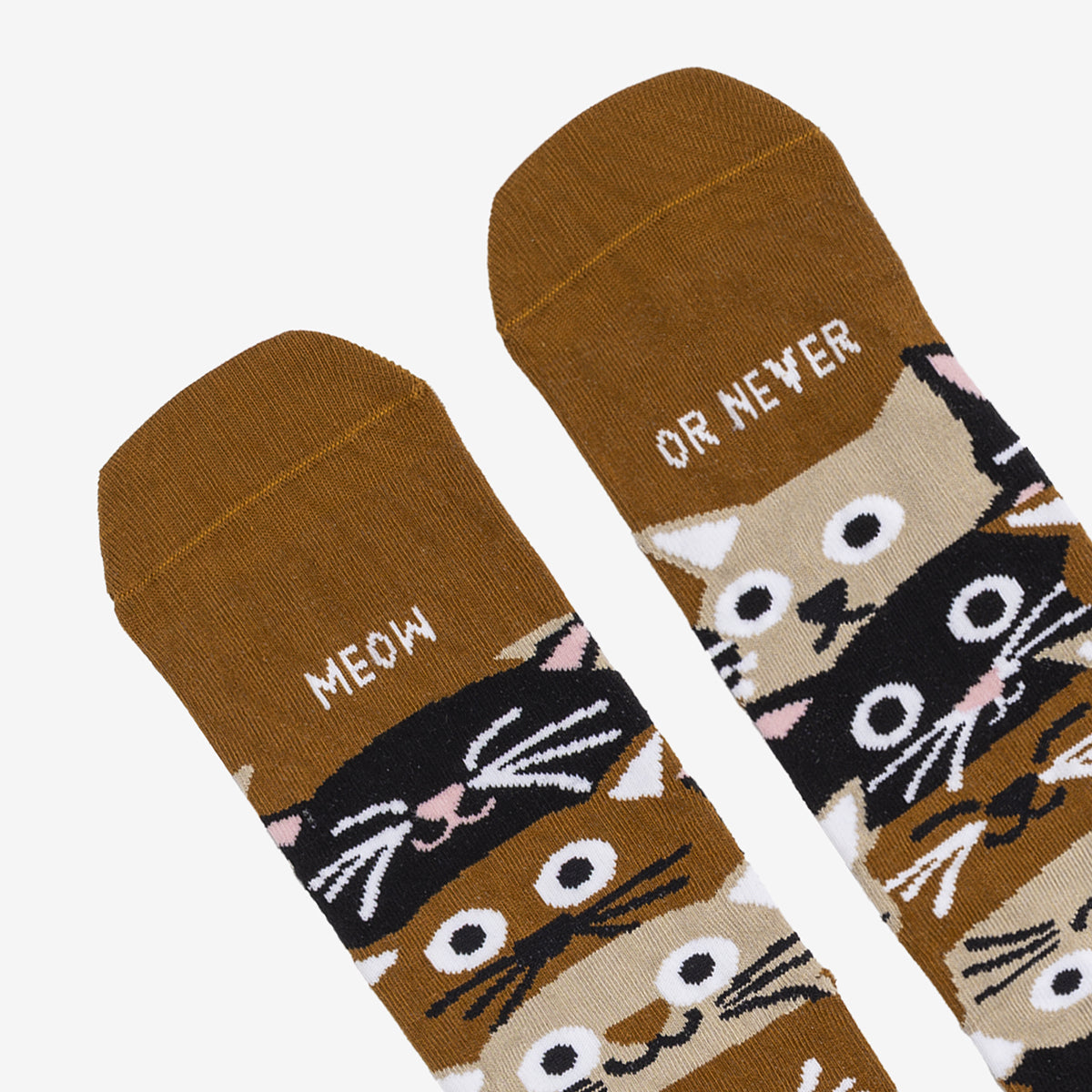 Calcetines "Meow or never"