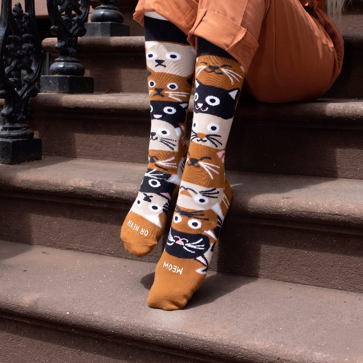 Calcetines "Meow or never"