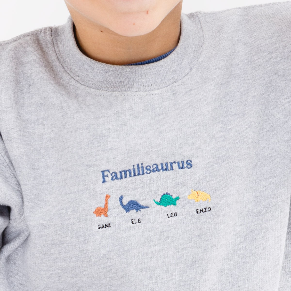 Sudadera Mini Personalizada "Familisaurus"