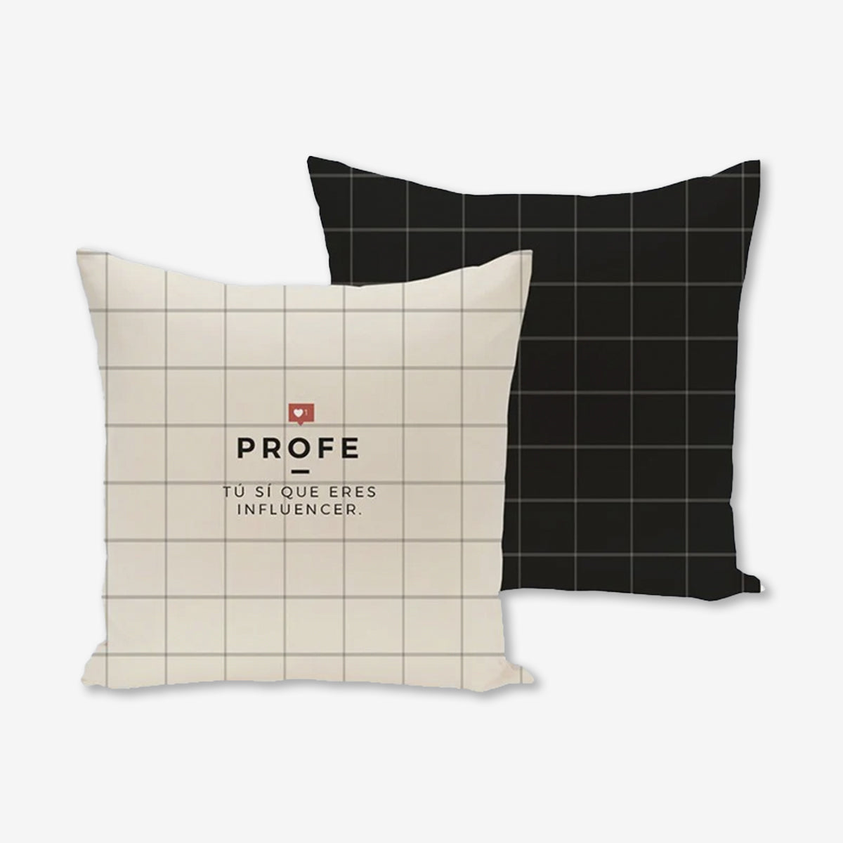 Funda Cojín "Profe. Influencer"