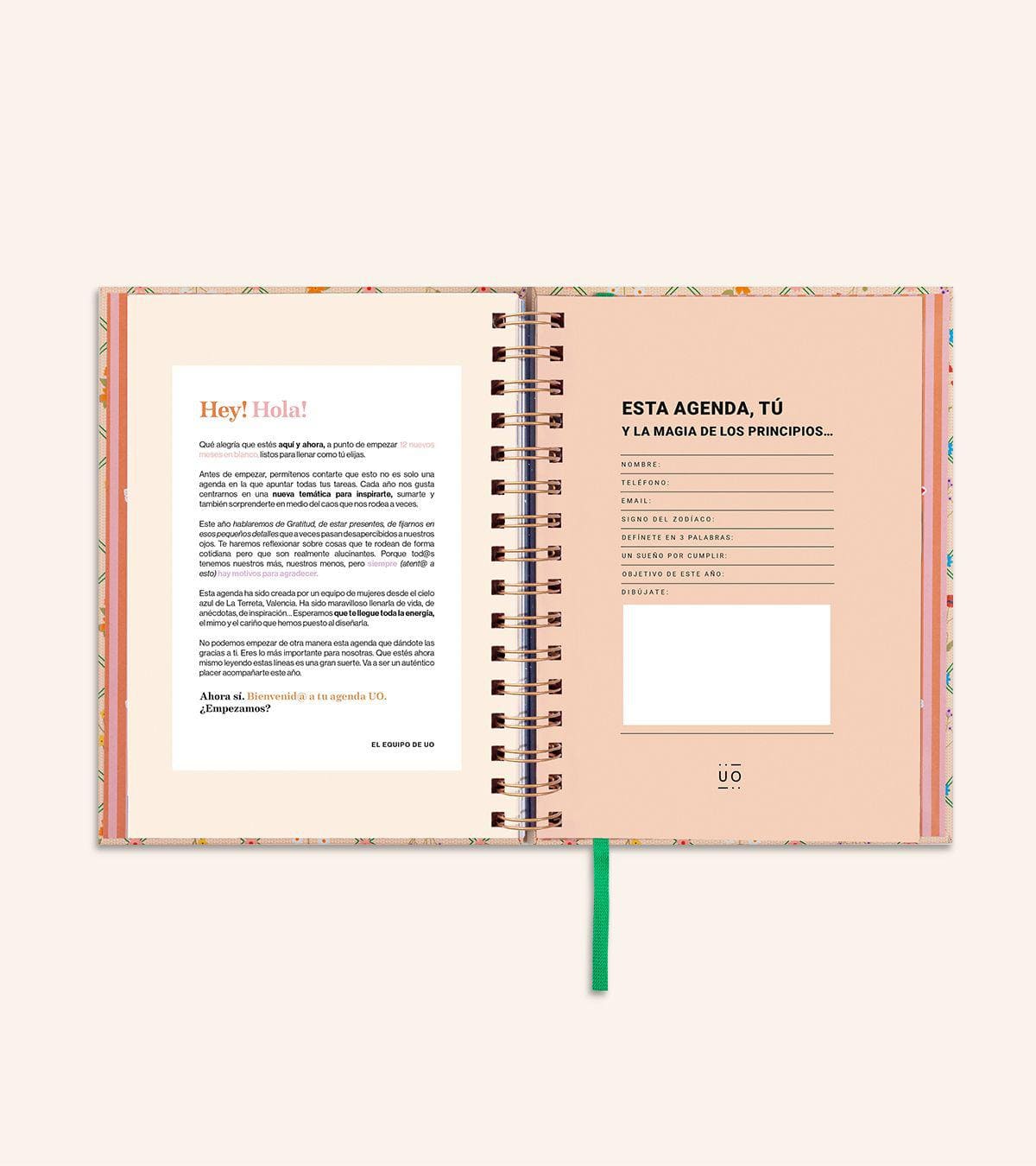Pack "VIDA" de Agenda Día Página 2024 + Papelería