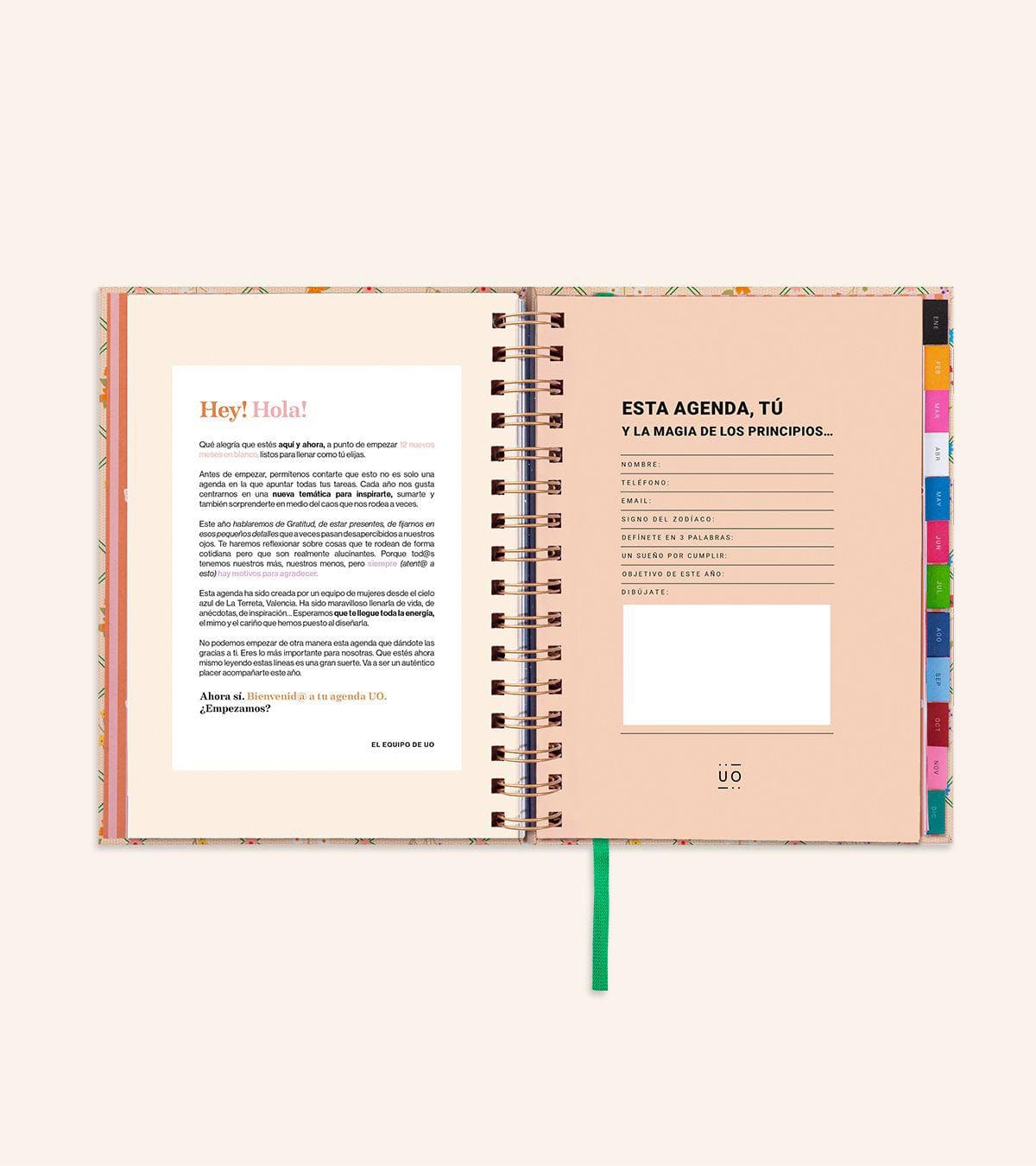 Pack "VIDA" de Agenda Semana Vista 2024 + Papelería y Taza